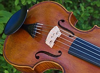 viola 5 string bridge