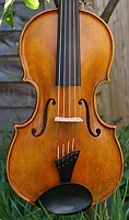 viola spruce top