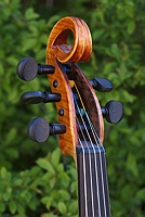 viola 5 string open scroll