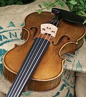 five string violin bridge