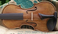 violin spruce top