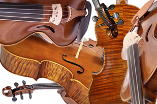 five string cello