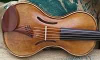 violin spruce top