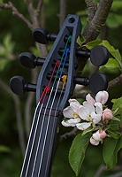 violorama sycorax electric five string violin distinctive pegbox